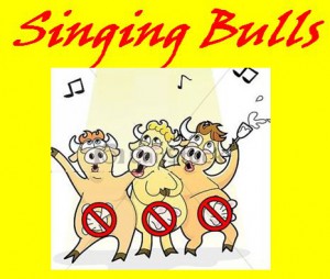 singing bulls